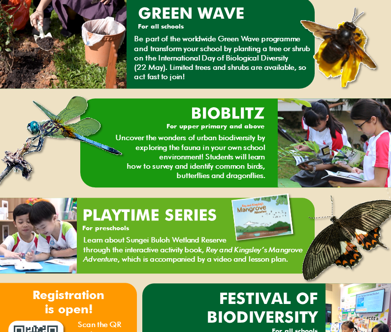 Biodiversity Week for Schools
